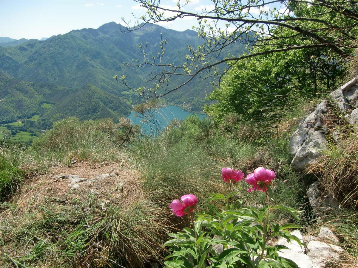 Val Maria-PurCasa Pippi公寓 外观 照片